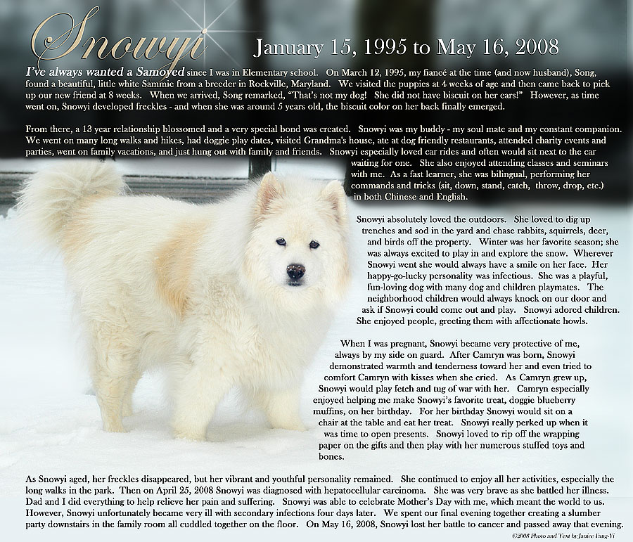 Snowyi Memorial page 1