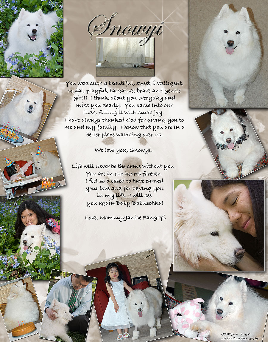 Snowyi Memorial 3