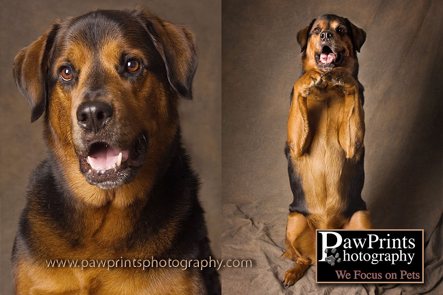 Rotty Mix