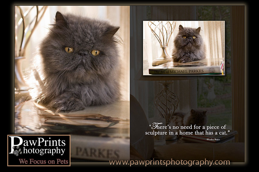 Nicholas sitting on a coffee table book