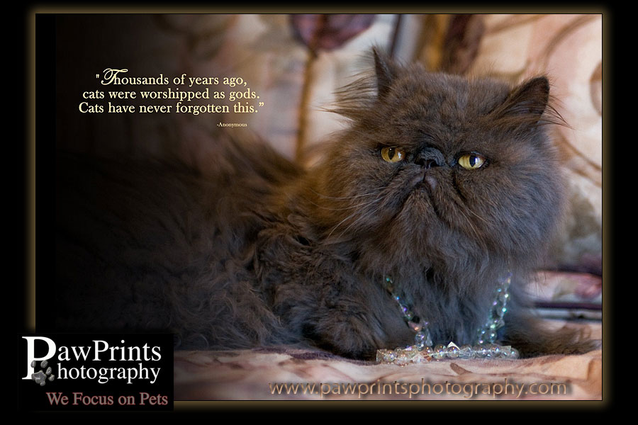 Nicholas with pearls