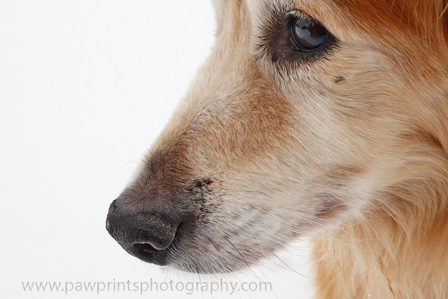Chica close up