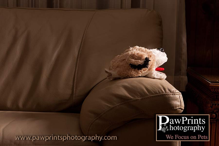 dog head puppet