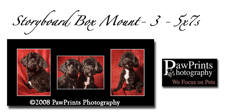 Storyboard Sample of Doxie Poo's
