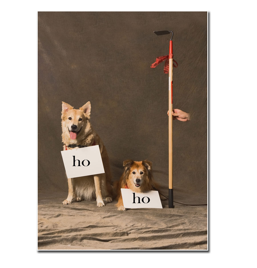 holiday card 2009