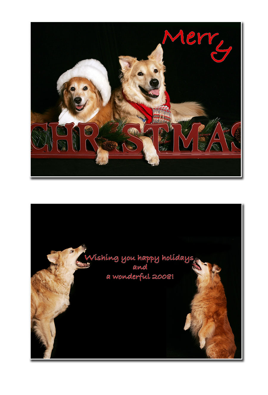 Holiday Card 2008