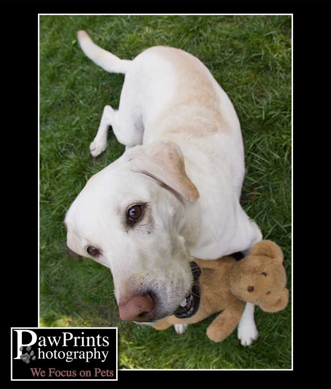 Sadie with teddy bear
