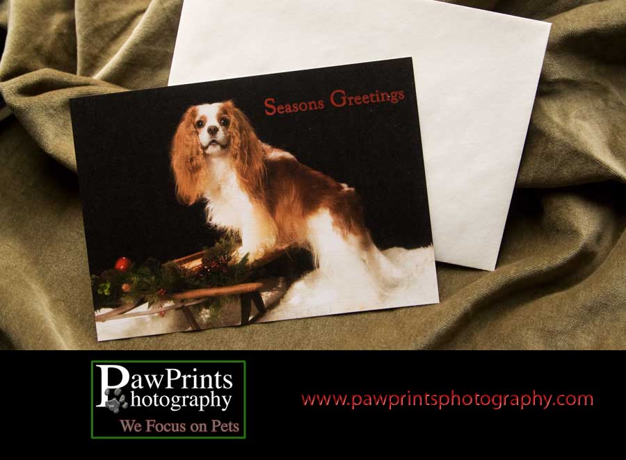 KC on a holiday card