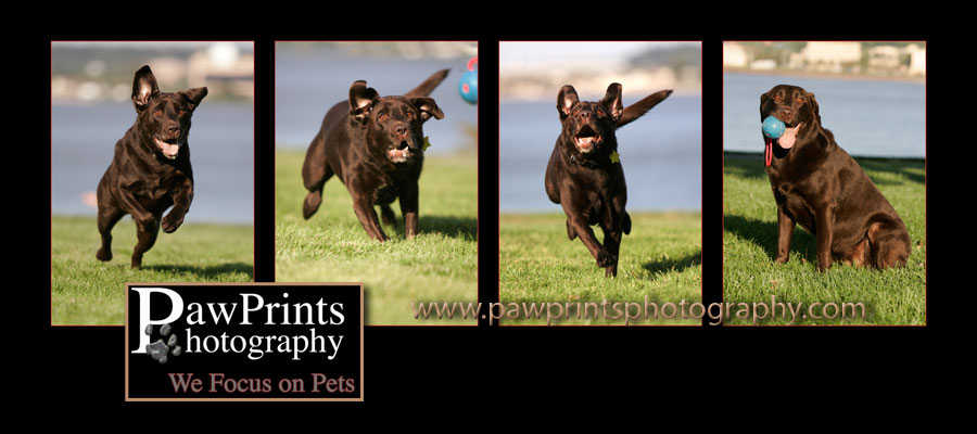 Series of Luna running