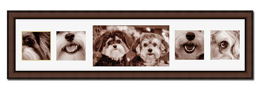 sample images