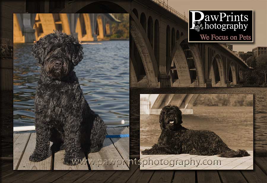 Max at the Key Bridge