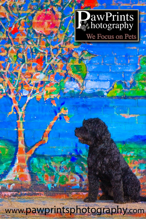Max at the colored wall