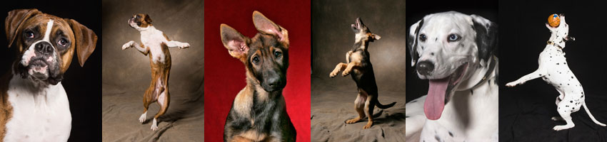 sample images