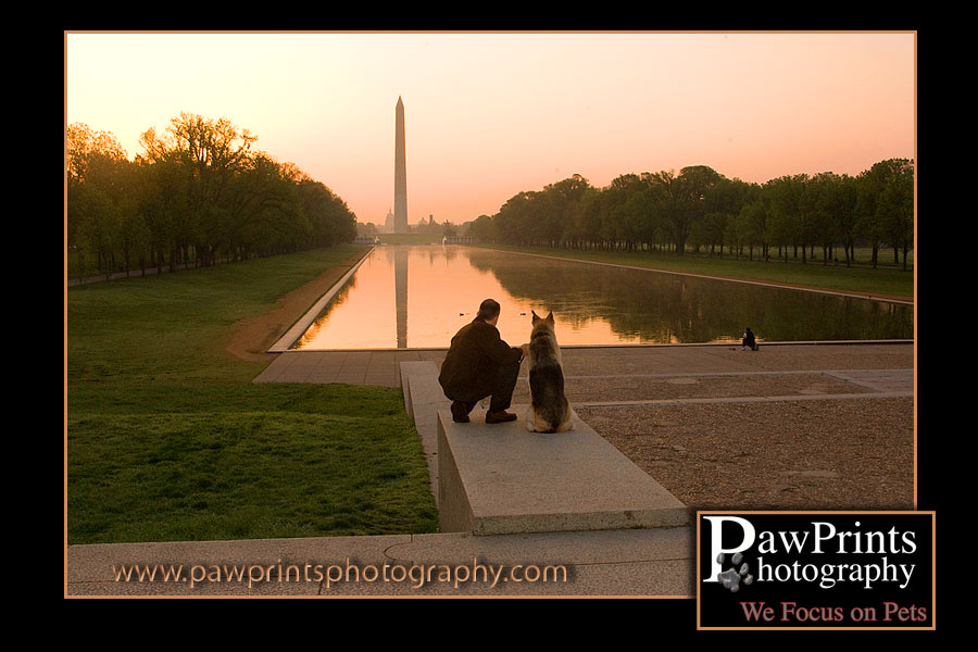 Rocky and his owner watching the sunrise over the Washington Monument.