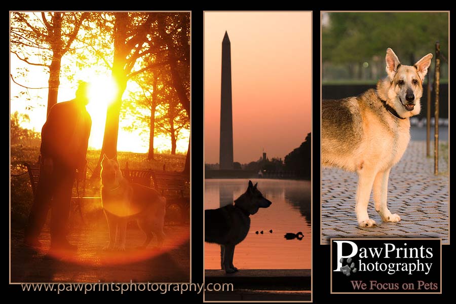 Rocky at the Washington Monument