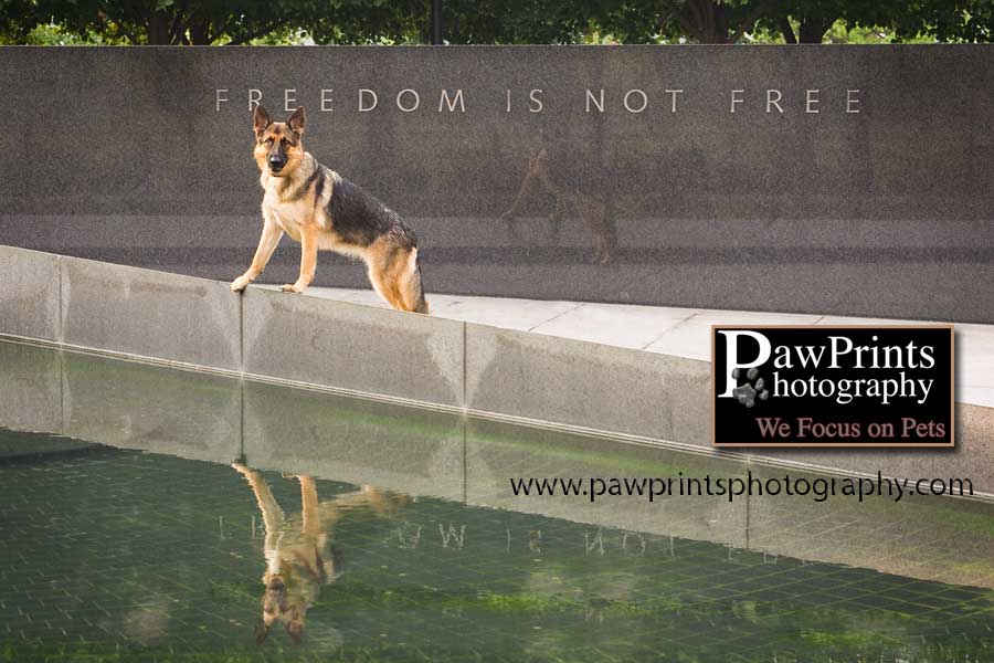 German Shepherd Korean War Memorial