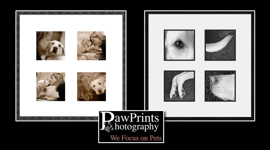 Sample frames for Sadie pictures