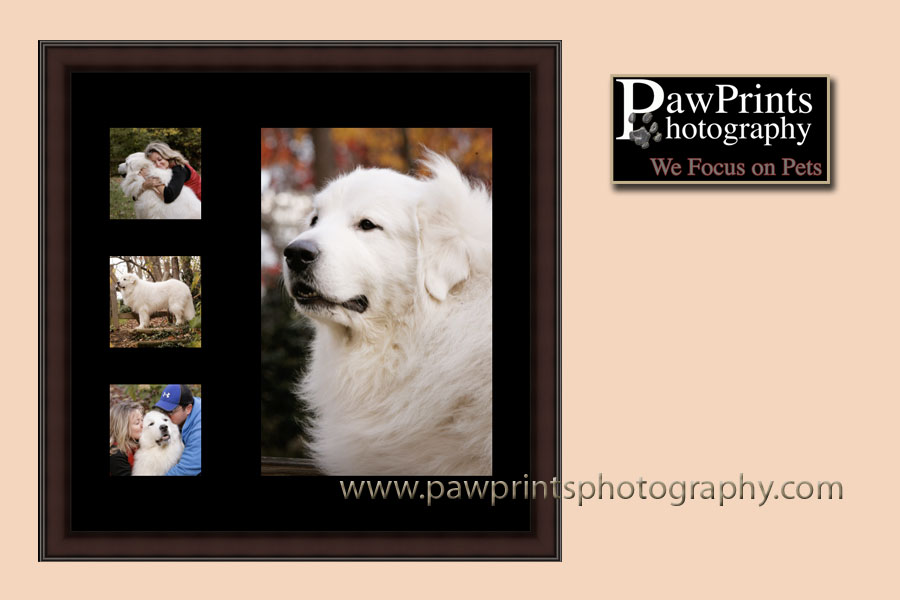 frame grouping