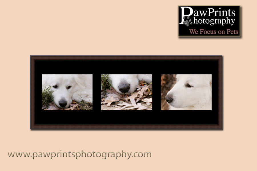 frame grouping 2