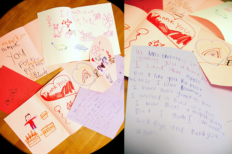 thank you cards