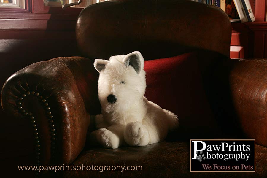 White Dog Toy