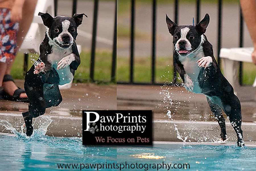 boston_swima