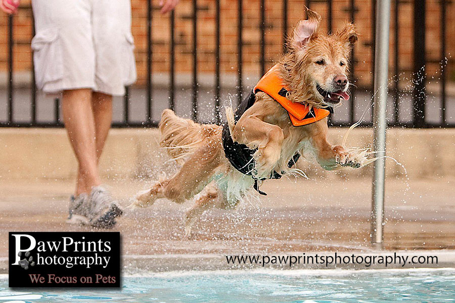 josie_jump