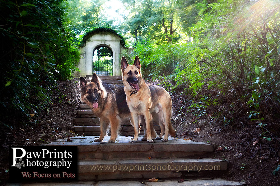 shepherds_gate