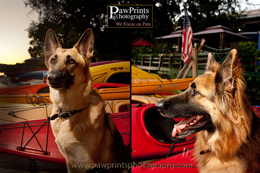 sheps_kayak