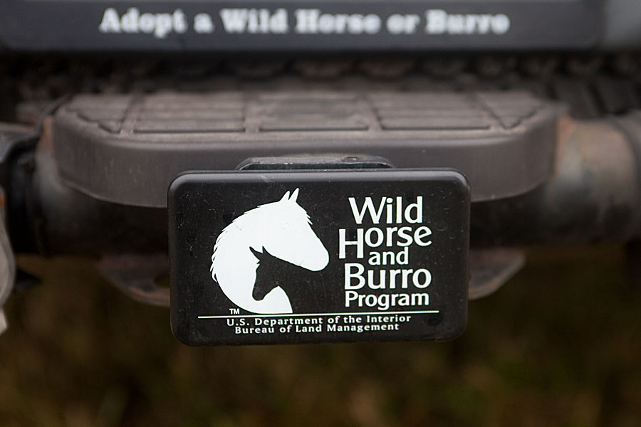wild_horse_sign1
