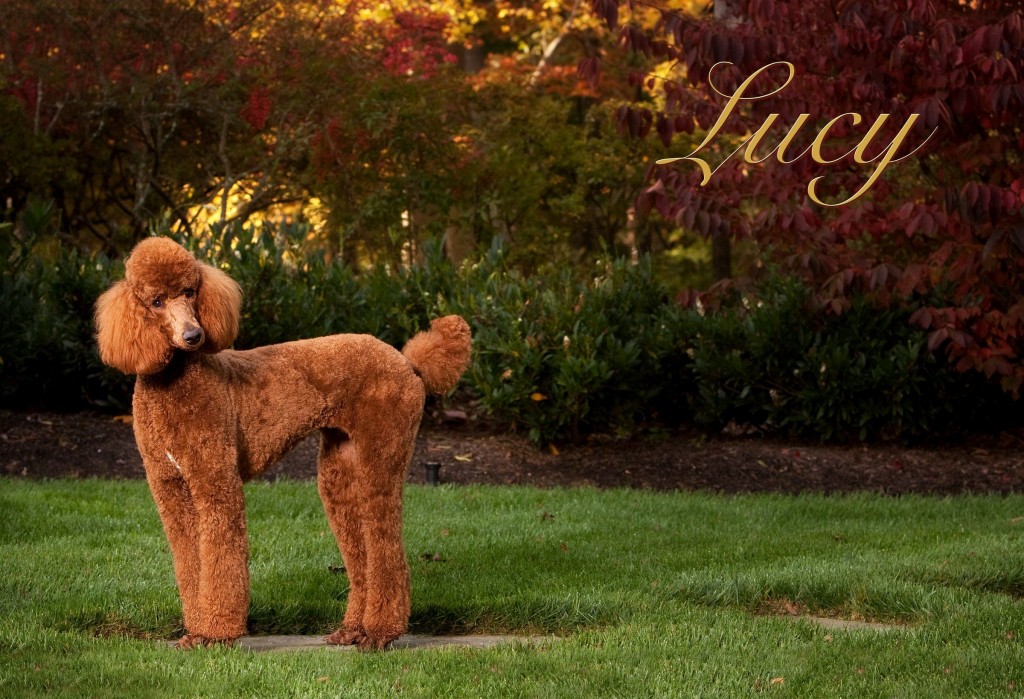 02_cowan_lucyRG