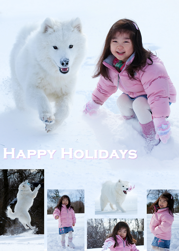 5x7_holidaycardb_web