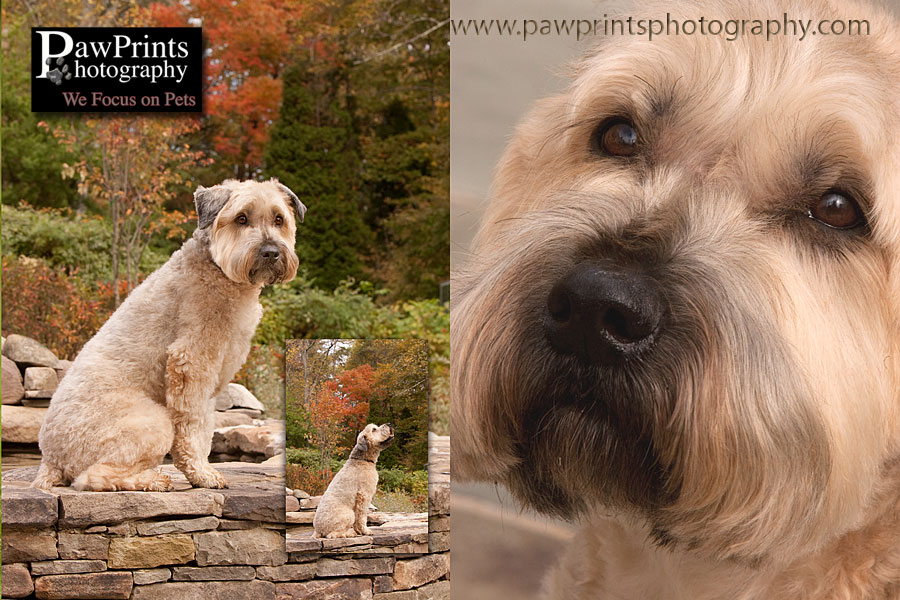 duffy_1 duffy_1