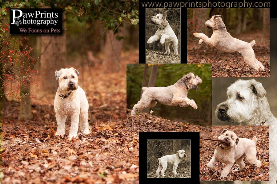 duffy_2 duffy_2