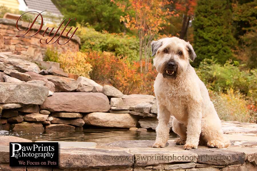 duffy_4 duffy_4