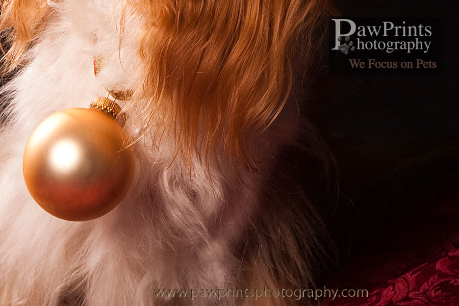 KC_ornament