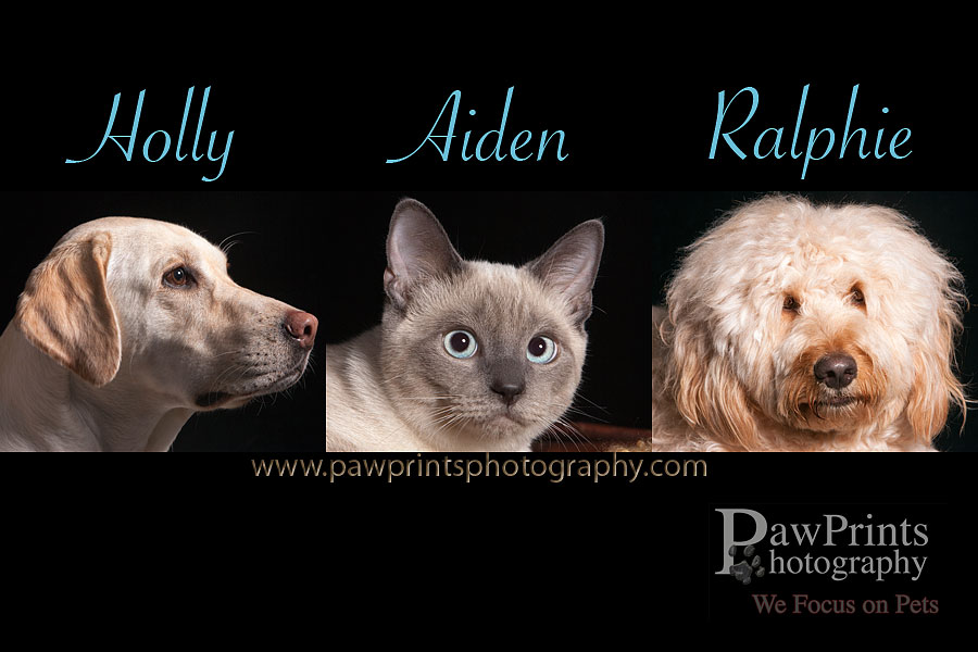 holly_aiden_ralphie