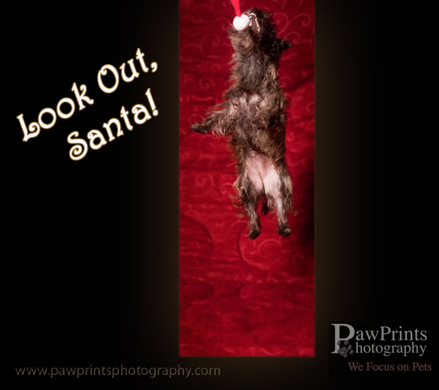 lookout_santa_1