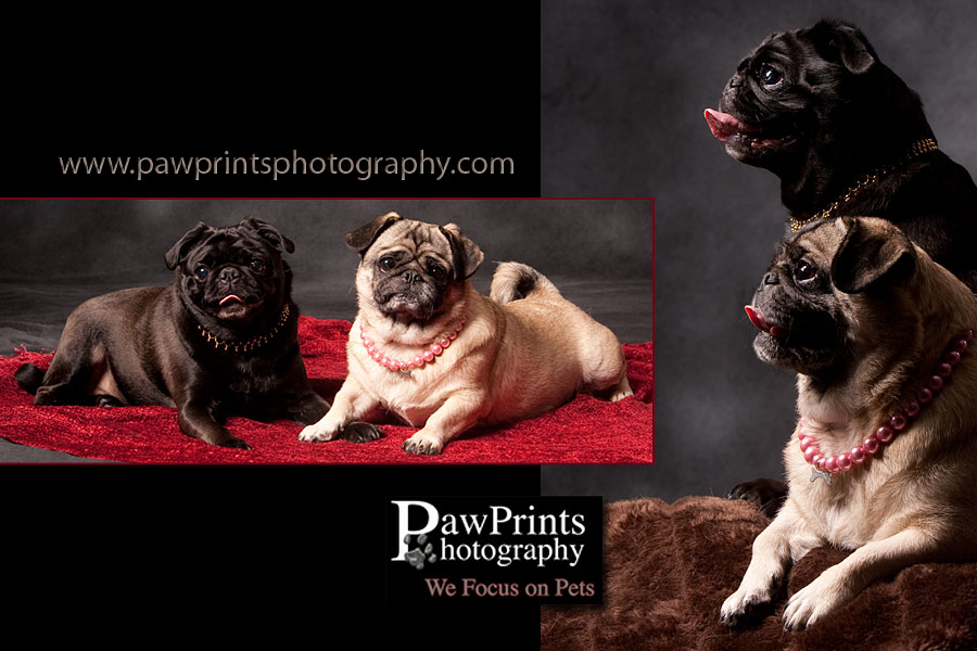 molly_maya_3 molly_maya_3