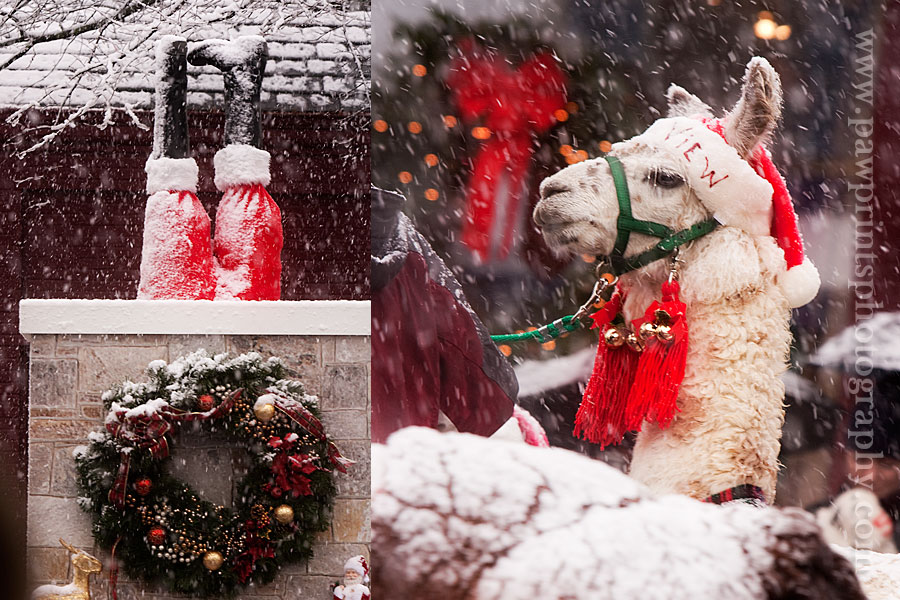 parade_1