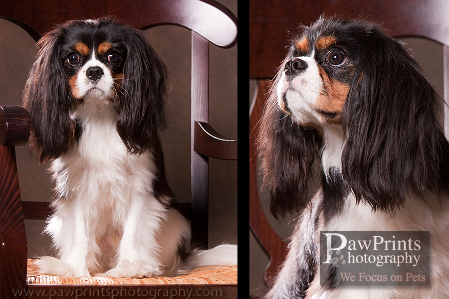 rupert_2 rupert_2