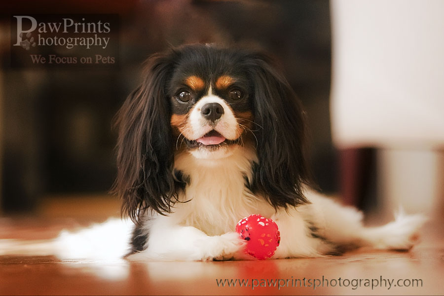 rupert_ball rupert_ball