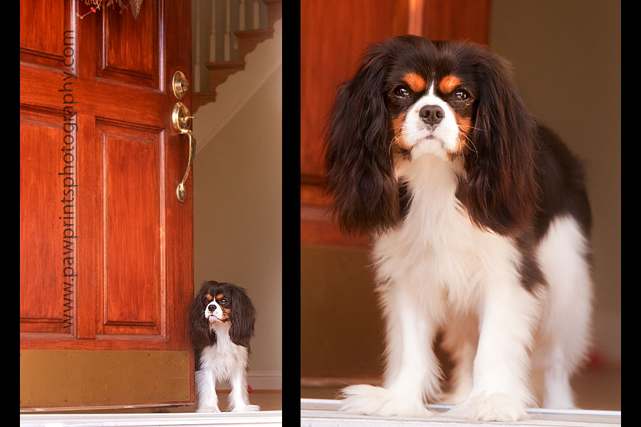 rupert_door rupert_door