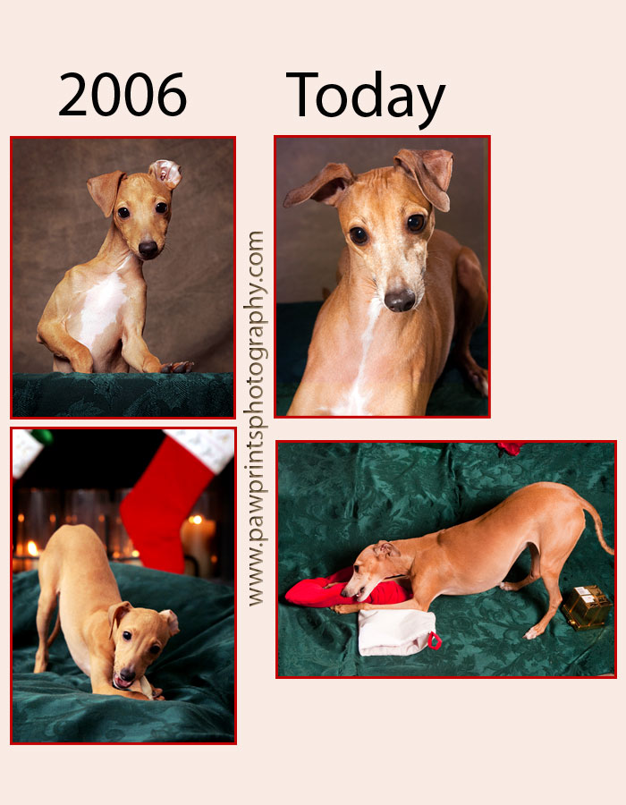 tootsie_then_now