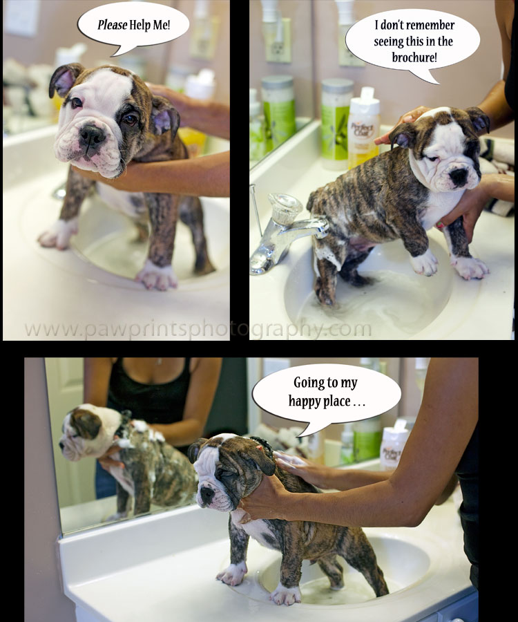 dozer_bath_1a