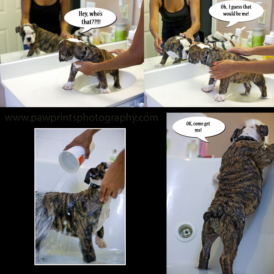 dozer_bath_2a