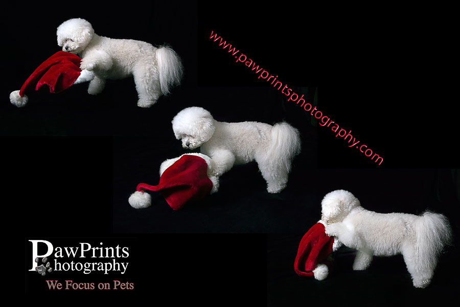 santa_hat_coco