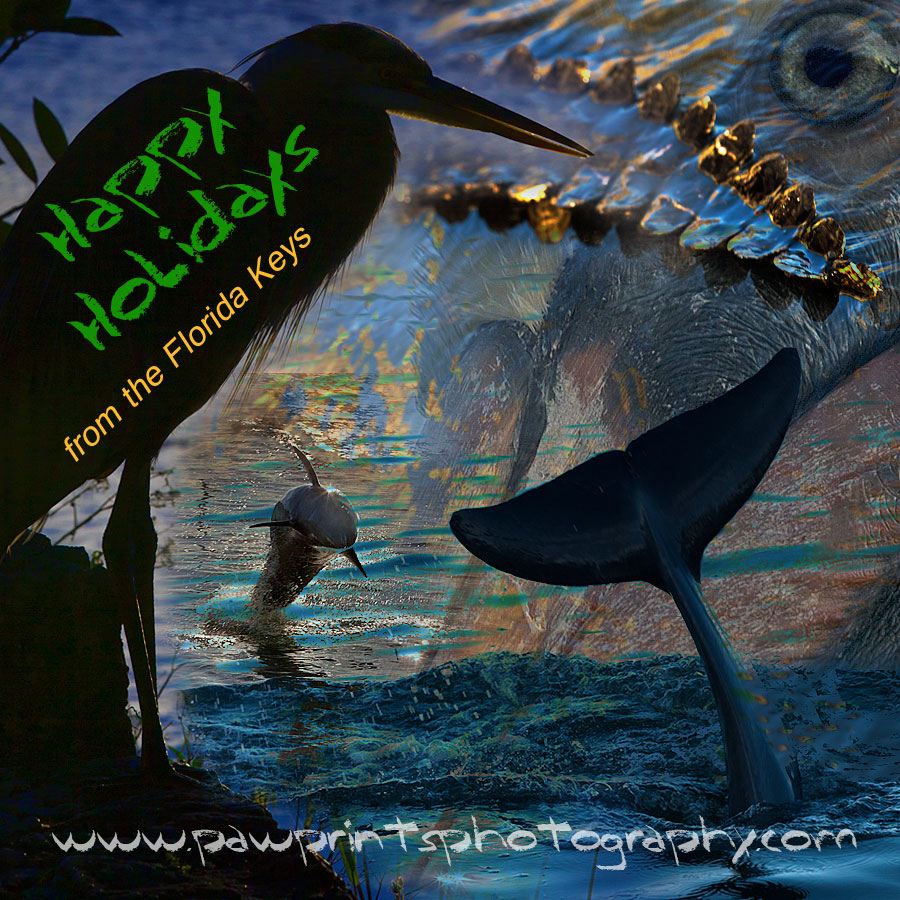 keys_everglades_collage_blog