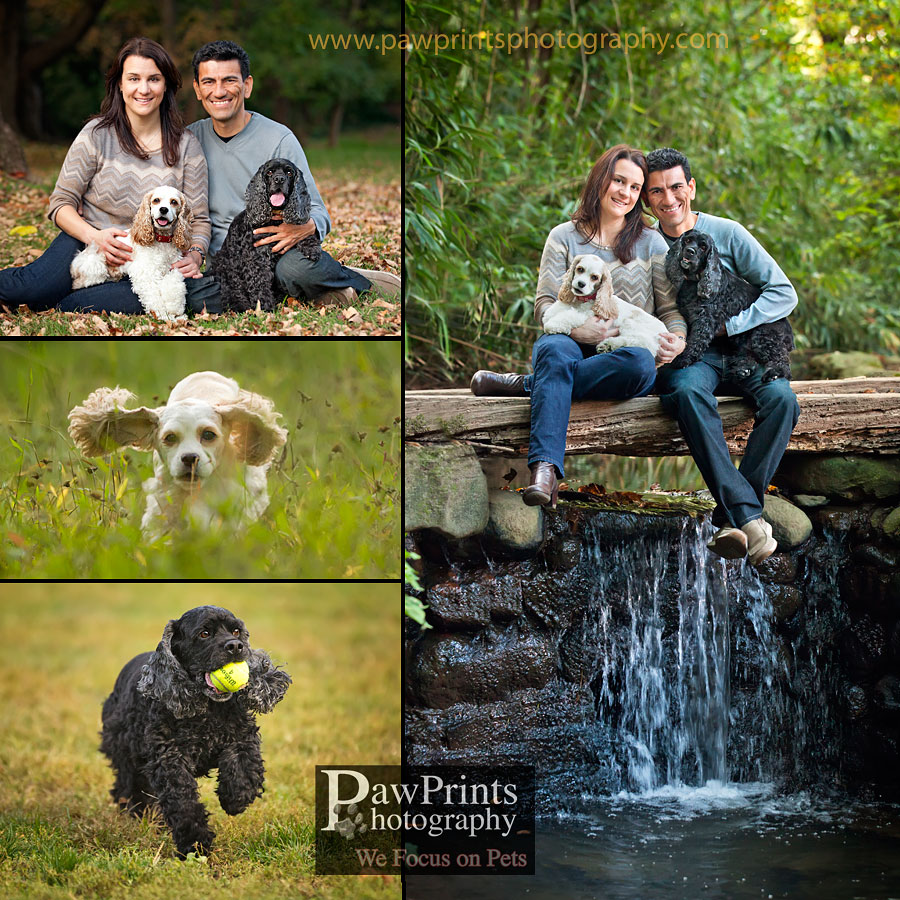 dasher_millie_family