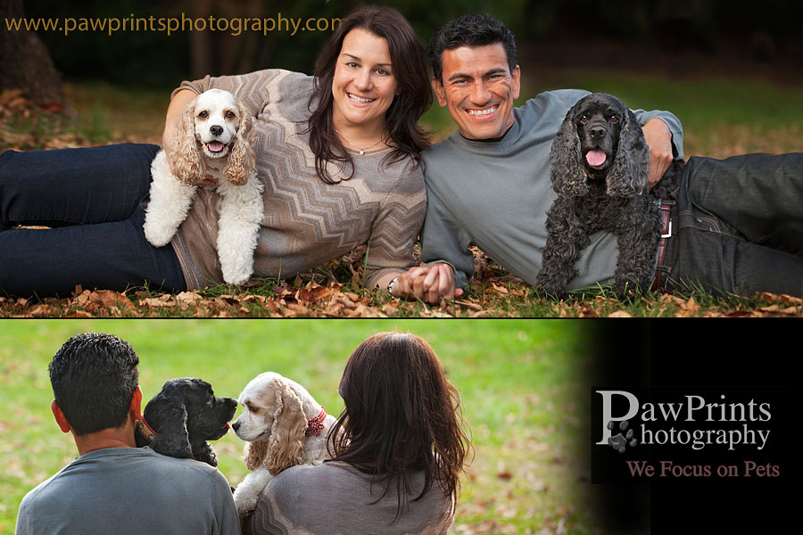 dasher_millie_family_2